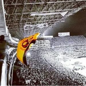 Meet your Posher, Leo